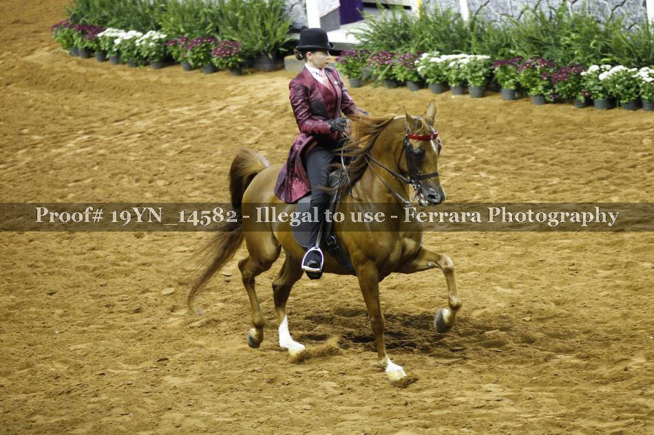 Proof 19YN_14582
