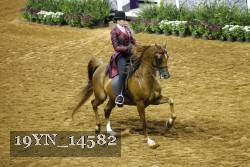 19YN_14582 proof