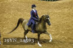19YN_14583 proof