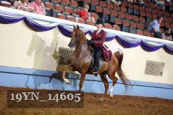 19YN_14605 proof