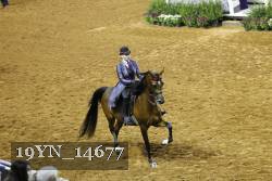 19YN_14677 proof