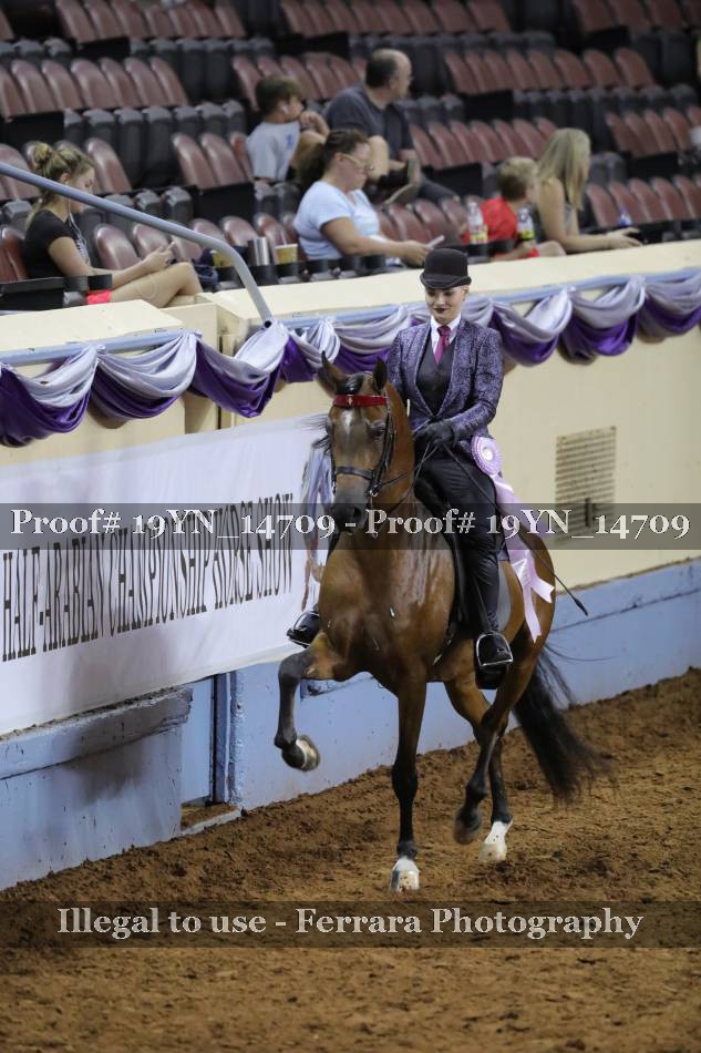 Proof 19YN_14709