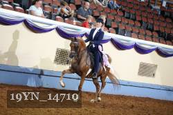 19YN_14710 proof