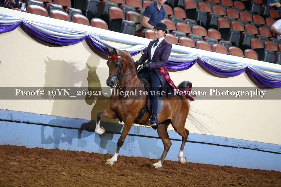 Proof 19YN_26921