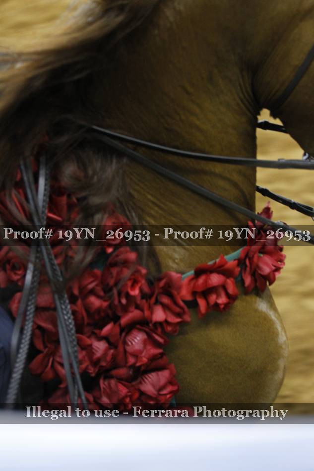 Proof 19YN_26953