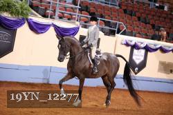 19YN_12277 proof