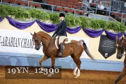19YN_12300 proof