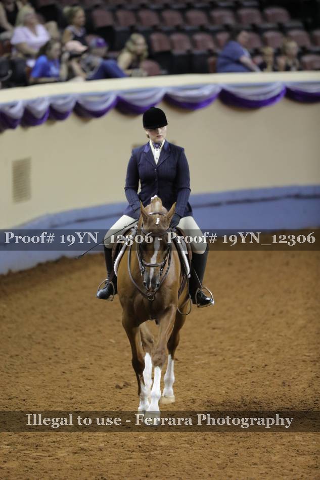 Proof 19YN_12306