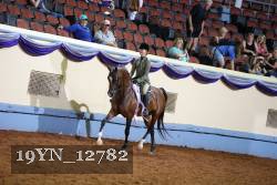 19YN_12782 proof