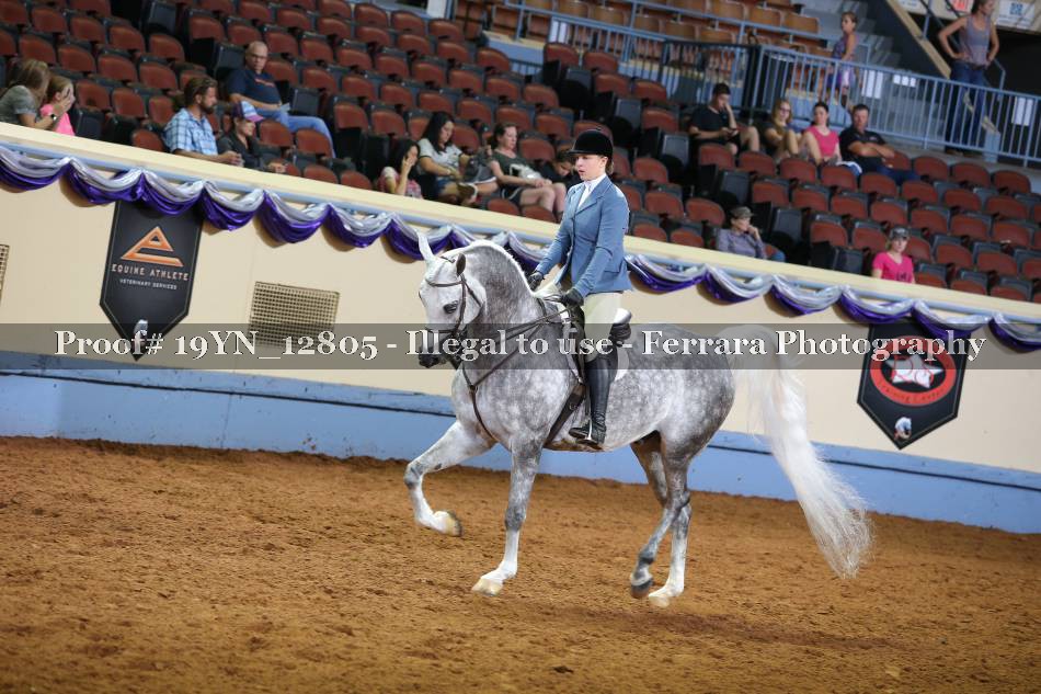 Proof 19YN_12805