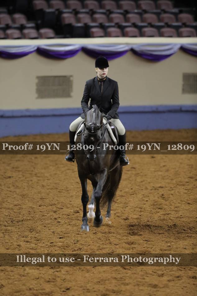 Proof 19YN_12809