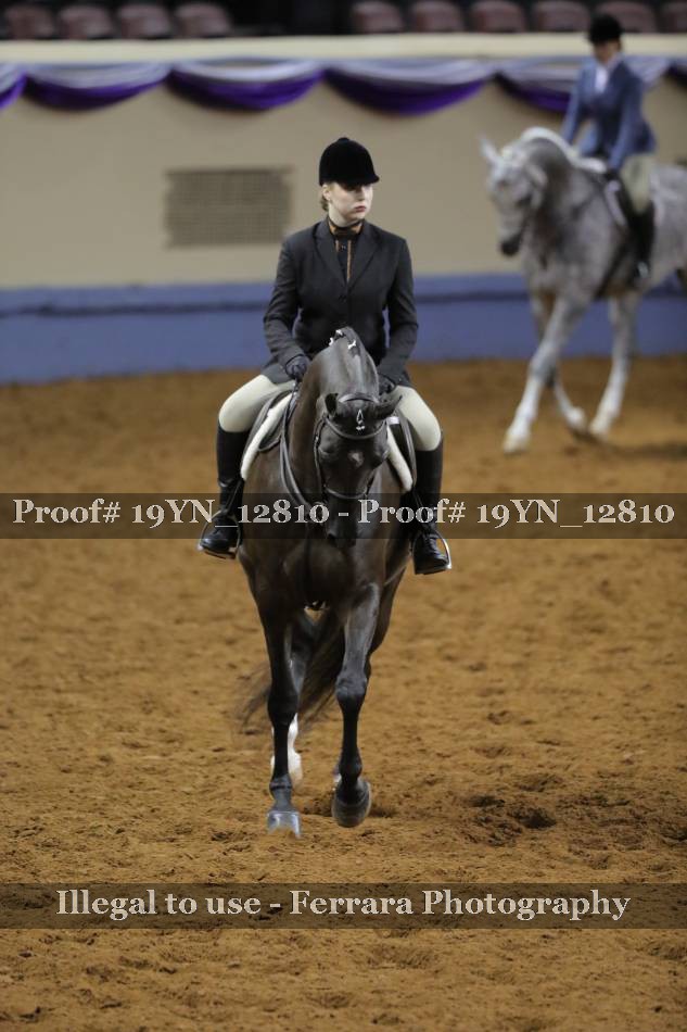 Proof 19YN_12810