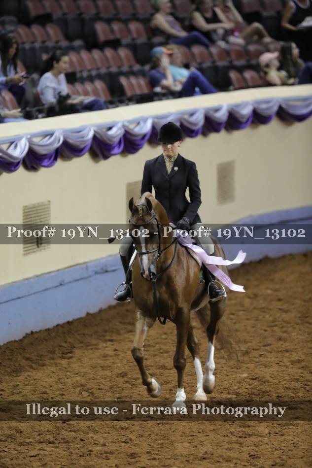 Proof 19YN_13102