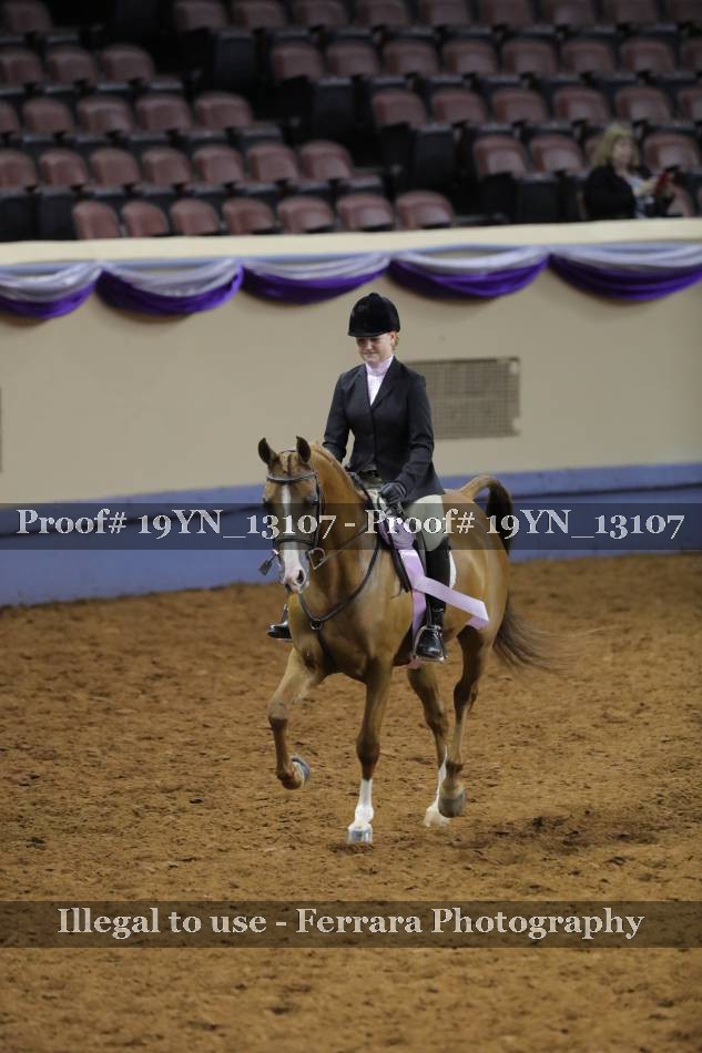 Proof 19YN_13107