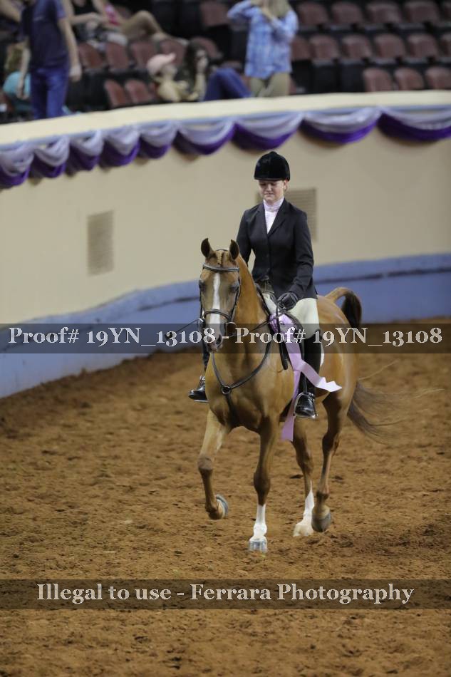 Proof 19YN_13108