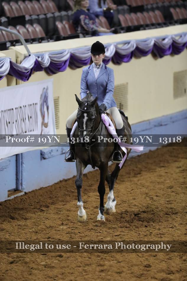 Proof 19YN_13118