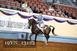 19YN_13122 proof