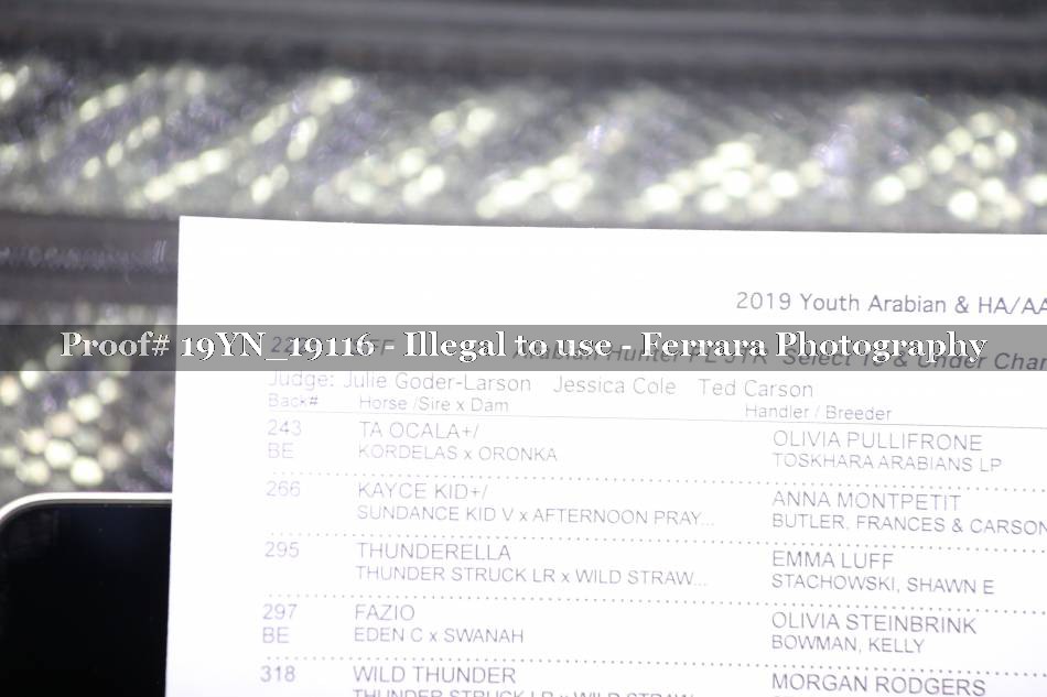 Proof 19YN_19116