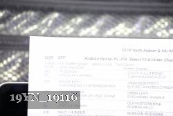 19YN_19116 proof