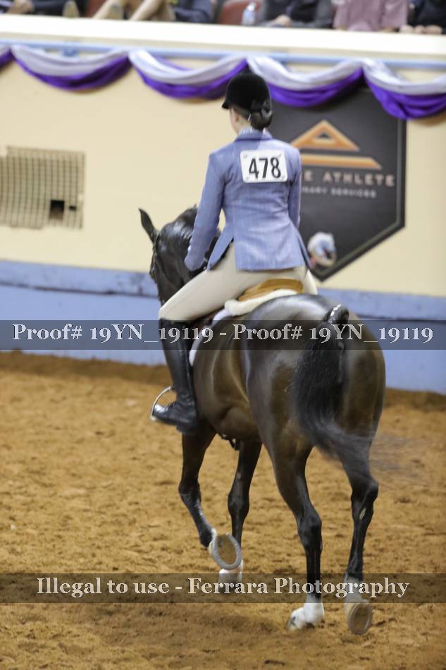 Proof 19YN_19119