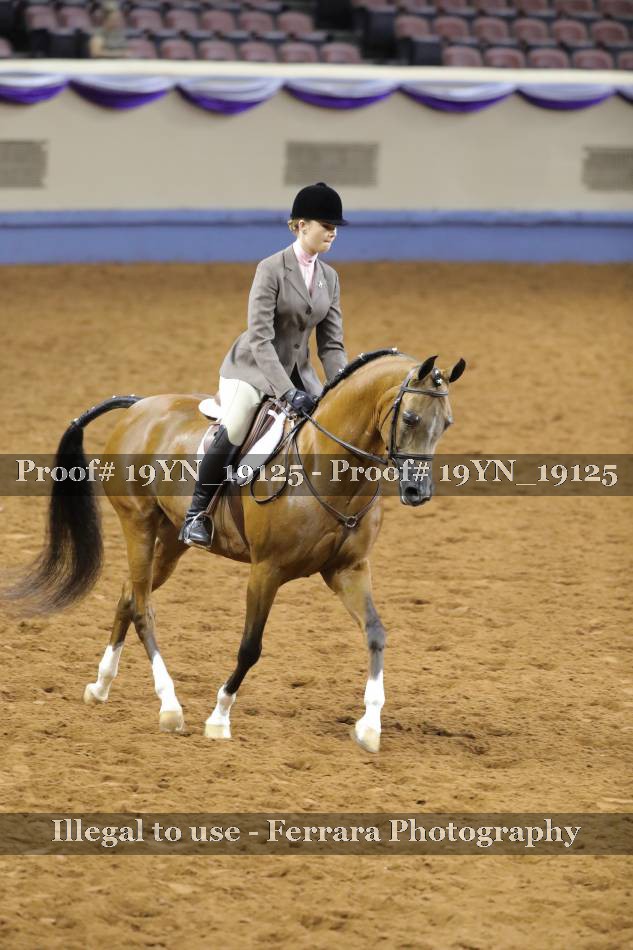 Proof 19YN_19125