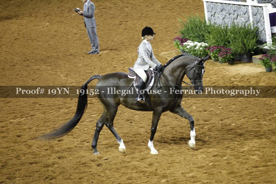 Proof 19YN_19152