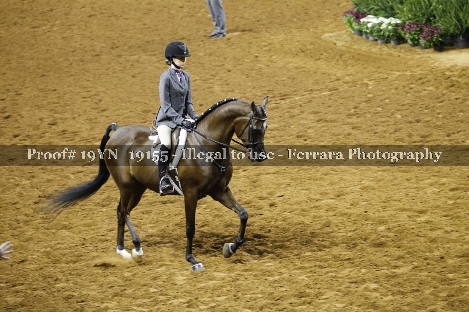 Proof 19YN_19155