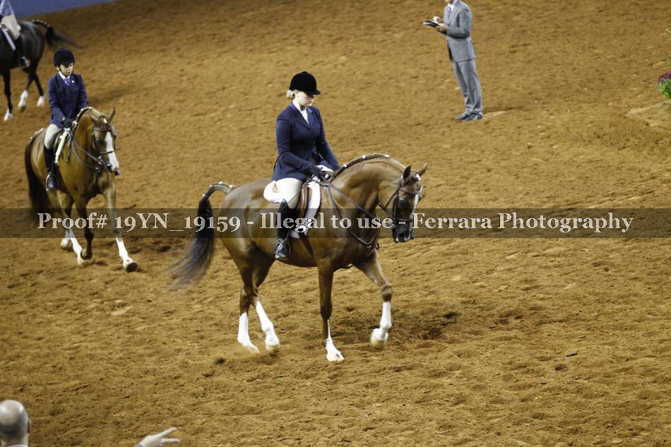 Proof 19YN_19159