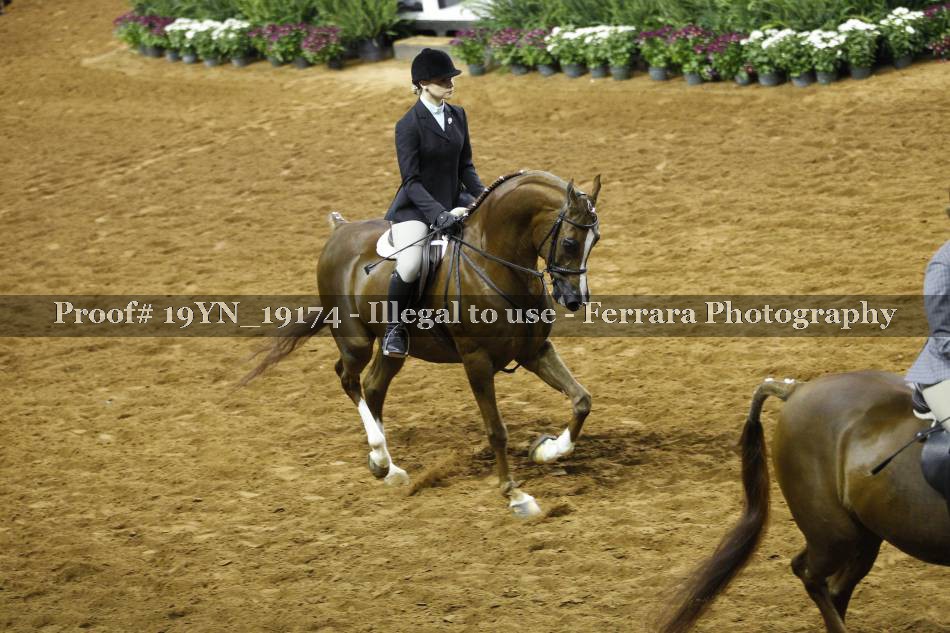 Proof 19YN_19174