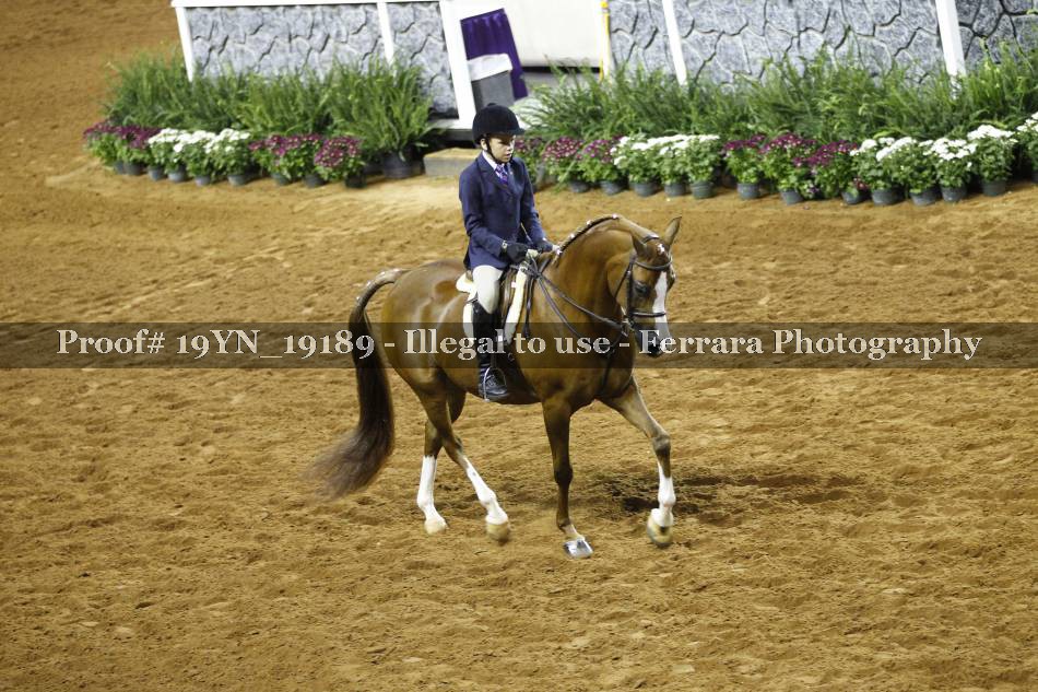 Proof 19YN_19189