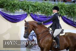 19YN_19199 proof