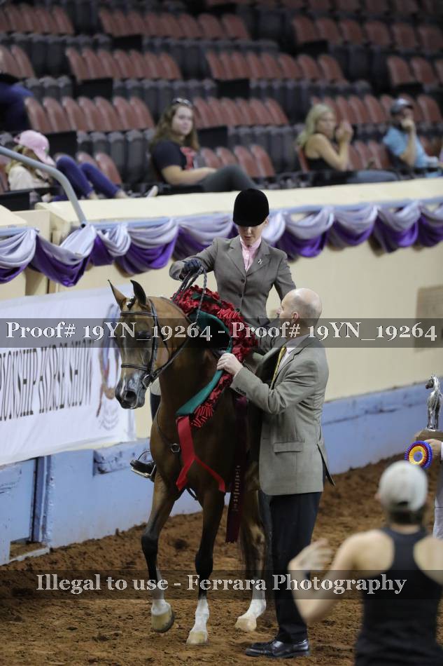 Proof 19YN_19264