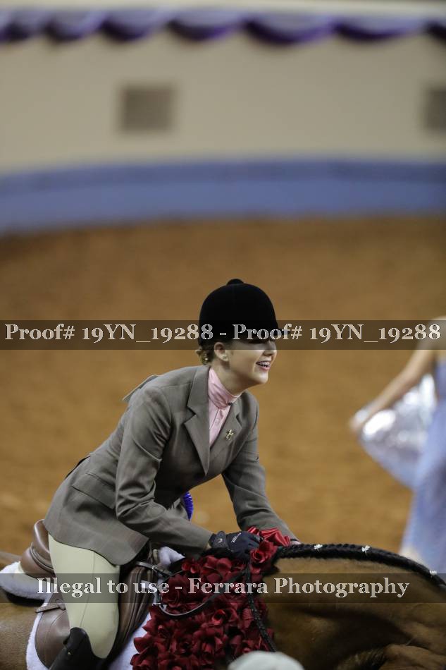 Proof 19YN_19288