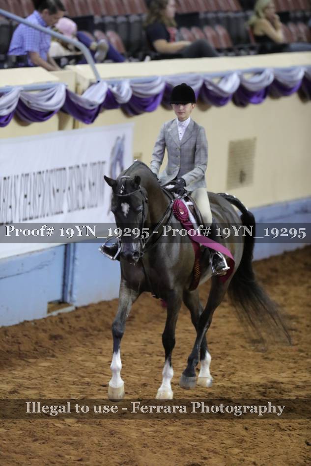 Proof 19YN_19295