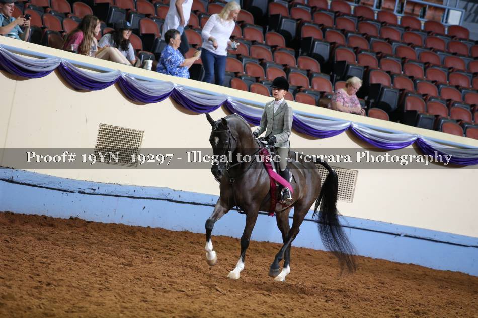 Proof 19YN_19297