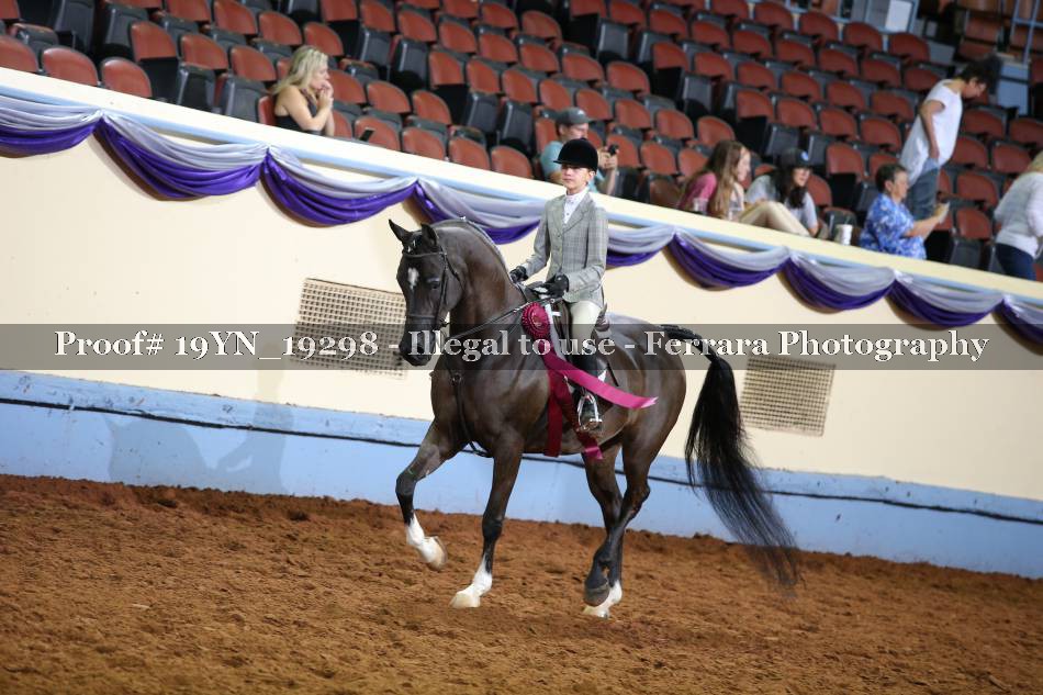 Proof 19YN_19298