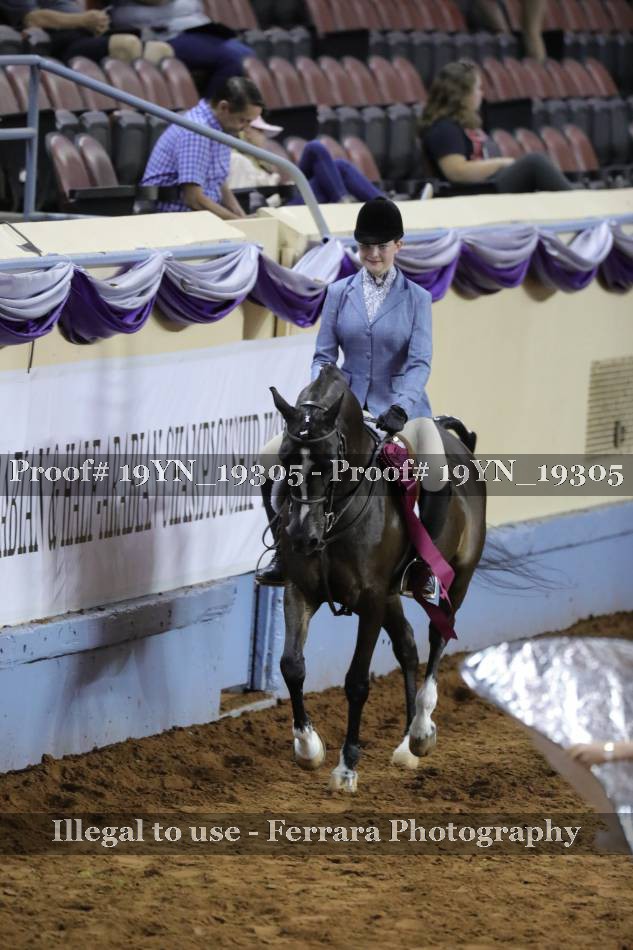 Proof 19YN_19305