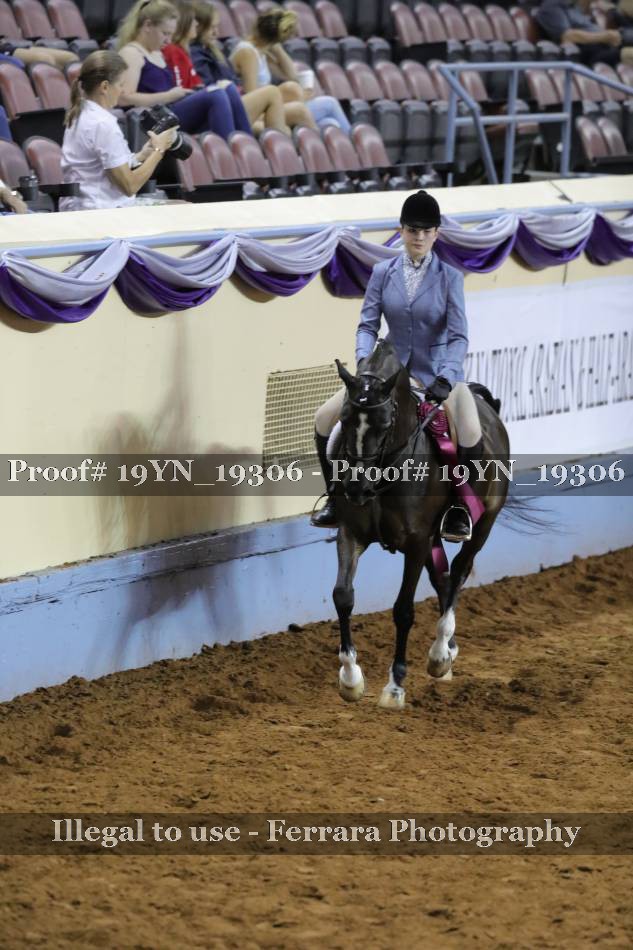 Proof 19YN_19306