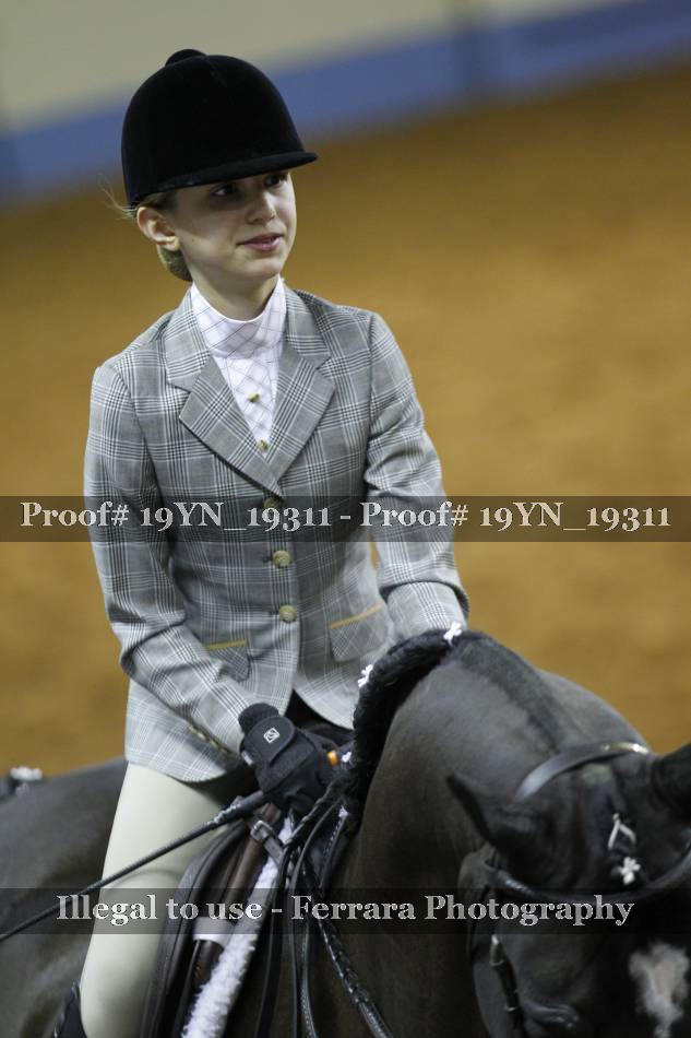 Proof 19YN_19311