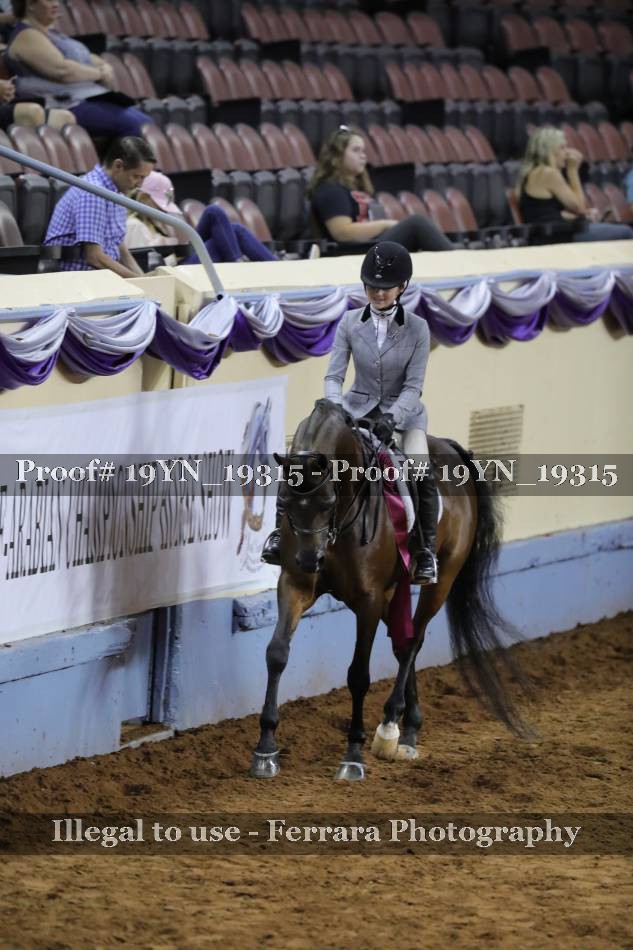 Proof 19YN_19315