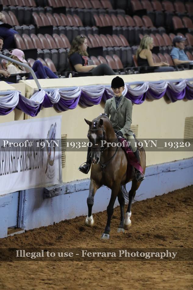 Proof 19YN_19320