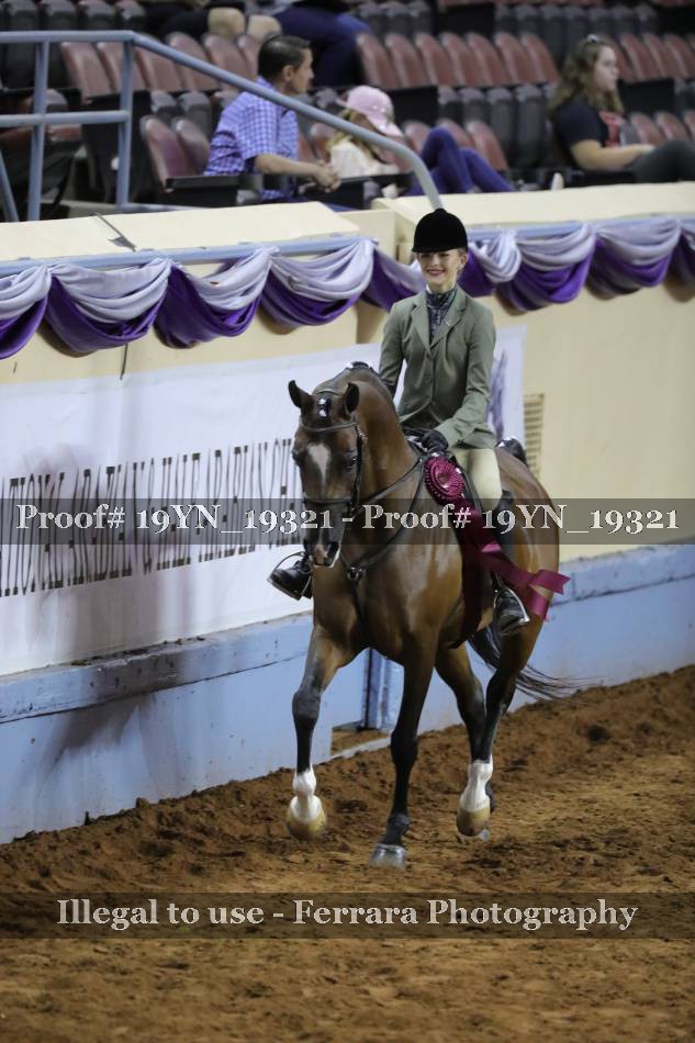 Proof 19YN_19321