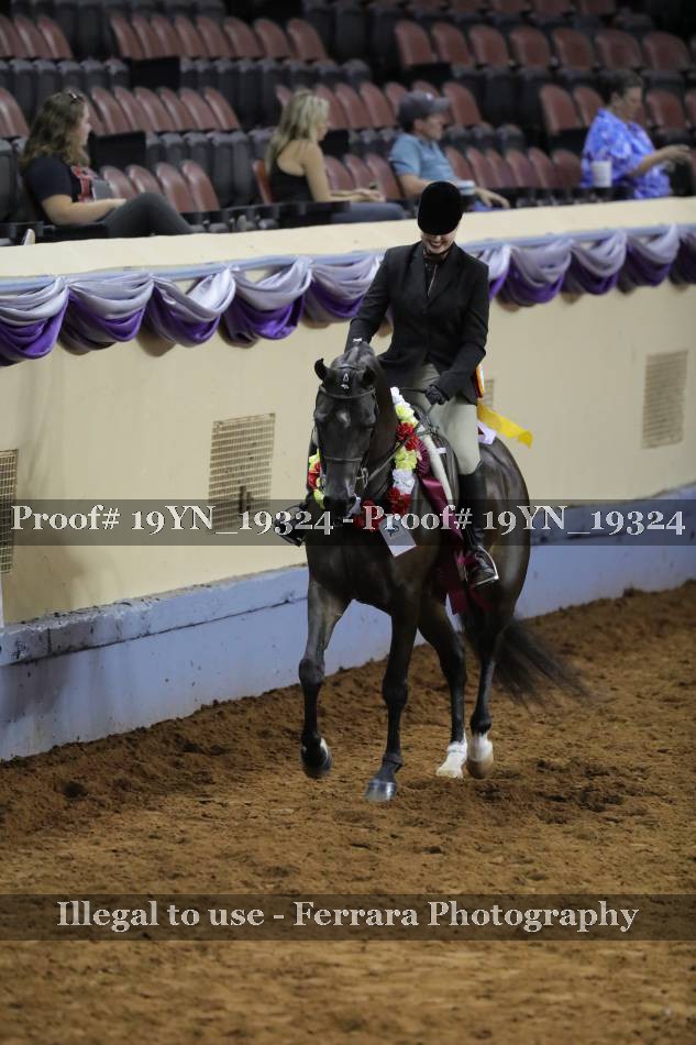 Proof 19YN_19324