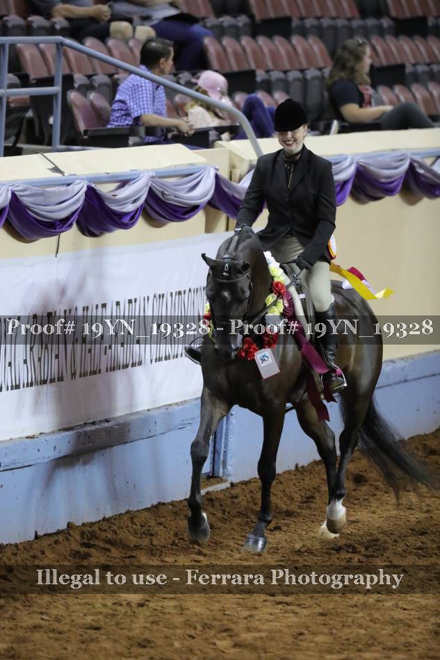 Proof 19YN_19328
