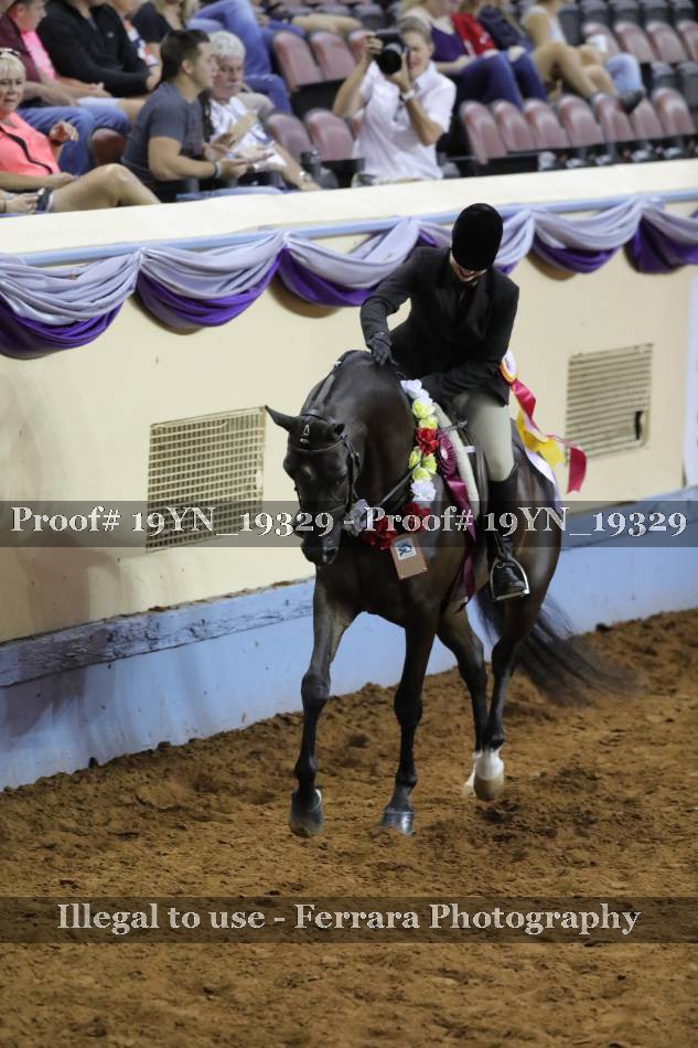 Proof 19YN_19329