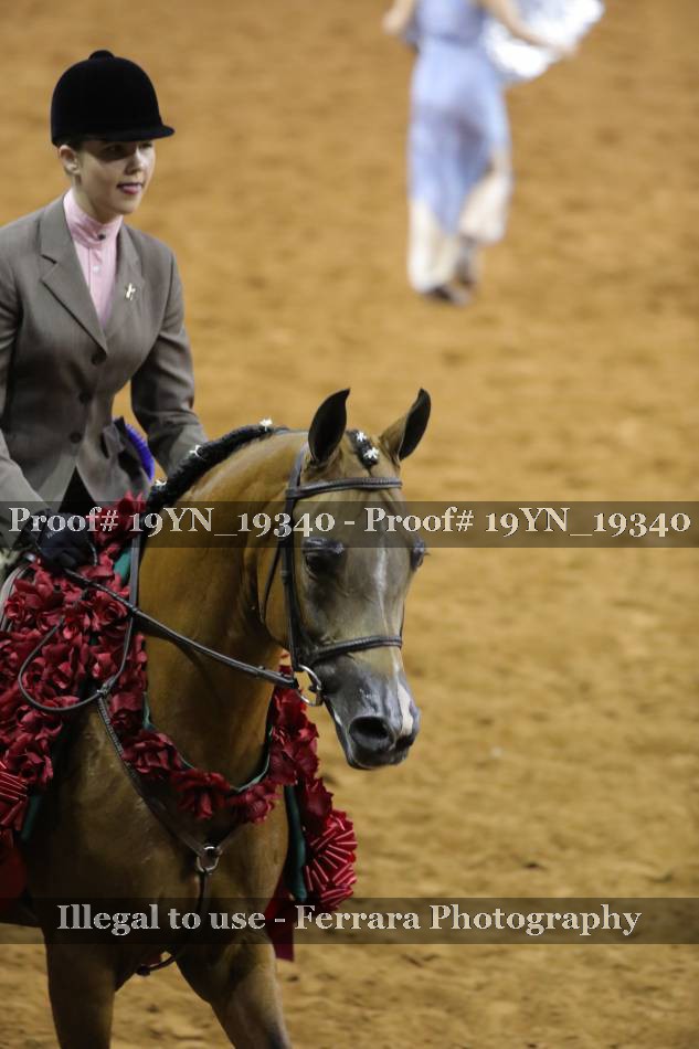 Proof 19YN_19340