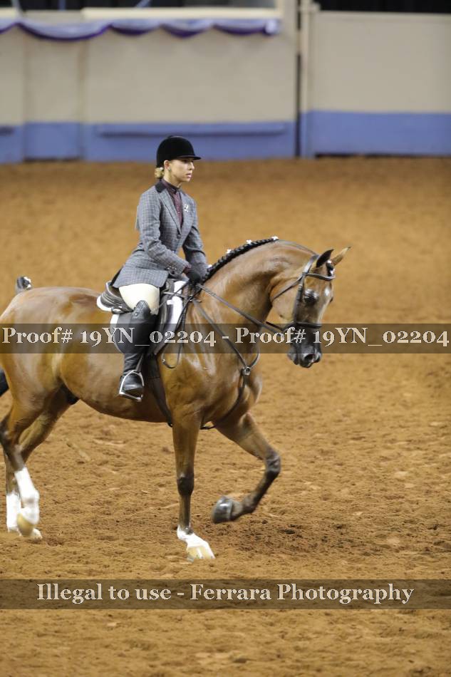 Proof 19YN_02204