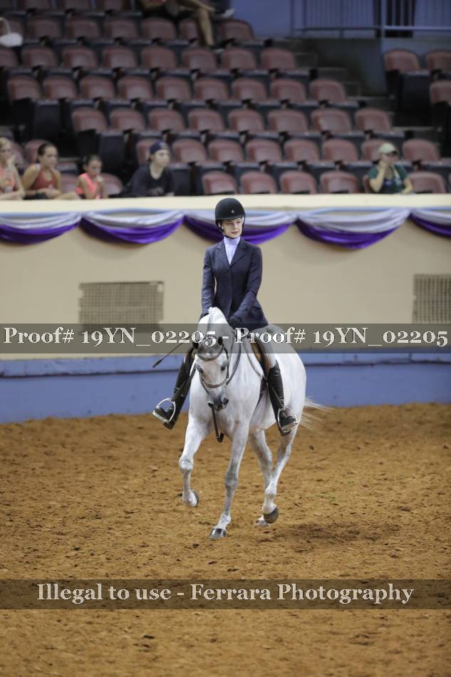 Proof 19YN_02205