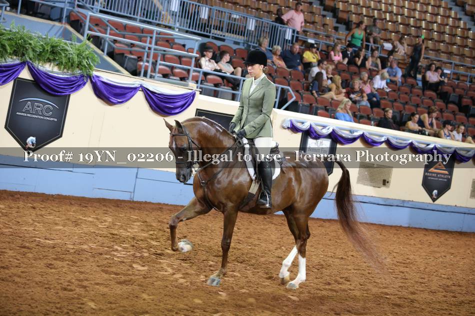 Proof 19YN_02206
