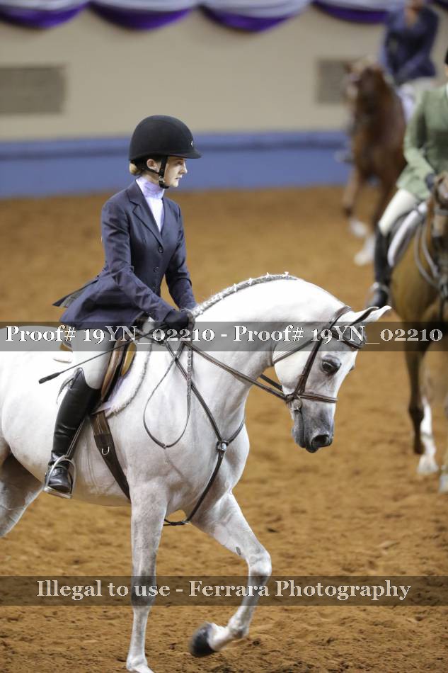 Proof 19YN_02210